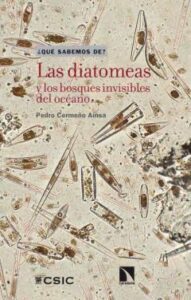 Las Diatomeas Y Los Bosques Invisibles Del Océano