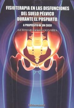 Fisioterapia En Las Disfunciones Del Suelo Pelvico Durante El Posparto