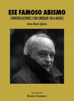 Ese Famoso Abismo. Conversaciones Con Enrique Vila-Matas
