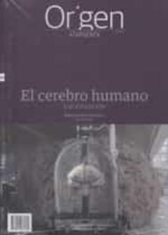 Origen 20 El Cerebro Humano