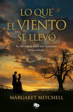 Lo Que El Viento Se Llevo