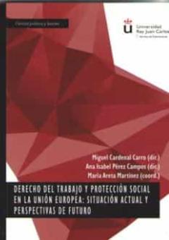 Derecho Del Trabajo Y Proteccion Social En La Union Europea: Situ Acion Actual Y