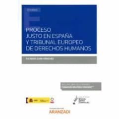 Libro, Audiolibro Proceso Justo En España Y Tribunal Europeo De Derechos Humanos Proceso Justo En España Y Tribunal Europeo De Derechos Humanos