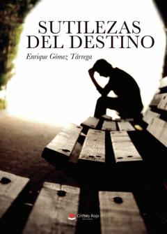 Libro, Audiolibro Sutilezas Del Destino Sutilezas Del Destino