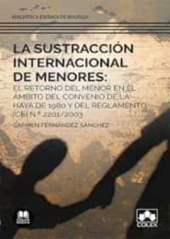 La Sustracción Internacional De Menores: El Retorno Del Menor En El Ámbito Del Convenio De La Haya De 1980 Y Del Reglamento (Ce) Nº 2201/2003