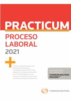 Practicum Proceso Laboral