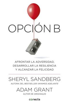 Opción B