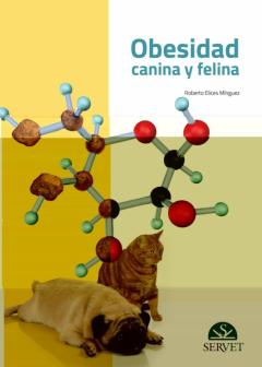 Obesidad Canina Y Felina