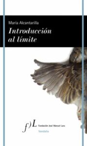 Introduccion Al Limite