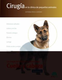 Cirugía En La Clínica De Pequeños Animales. Cabeza Y Cuello. Volu Men Ii