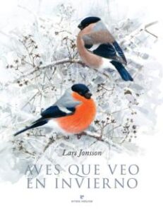 Aves Que Veo En Invierno