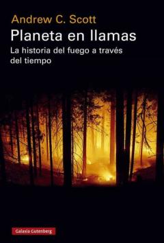 Planeta En Llamas