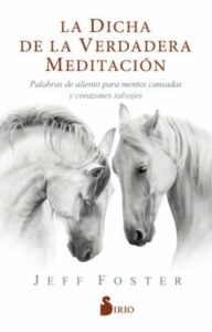 La Dicha De La Verdadera Meditacion: Palabras De Aliento Para Mentes Cansadas Y Corazones Salvajes