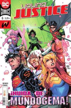 Young Justice Nº 6
