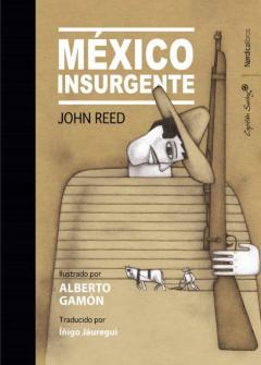 Mexico Insurgente