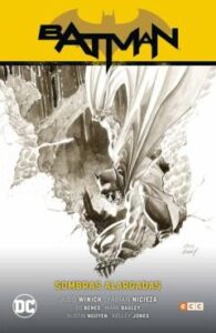 Batman Vol. 9: Sombras Alargadas (Batman Saga – Renacido Parte 3)