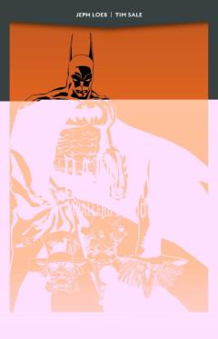 Batman: Caballero Maldito (Dc Black Label Pocket)