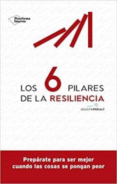 Los 6 Pilares De La Resiliencia