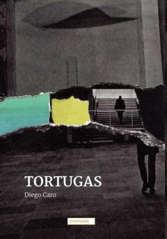 Libro, Audiolibro Tortugas Tortugas