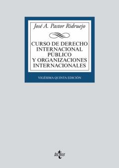 Curso De Derecho Internacional Publico Y Organizaciones Internacionales