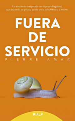 Fuera De Servicio