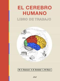 El Cerebro Humano: Libro De Trabajo