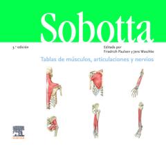Sobotta. Cuadernos De Tablas. Músculos, Articulaciones Y Nervios, 3ª Ed.