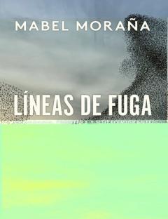 Lineas De Fuga: Ciudadania, Frontera Y Sujeto Migrante
