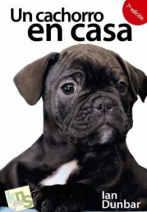 Un Cachorro En Casa: ¡No Hay Tiempo Que Perder!: Etapas Criticas En El Desarrollo En El Aprendizaje (2ª Ed.)