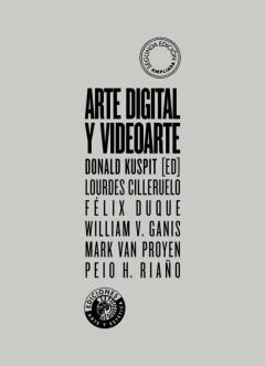 Arte Digital Y Videoarte: Transgrediendo Los Límites De La Representación
