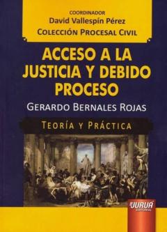 Acceso A La Justicia Y Debido Proceso: Teoria Y Practica