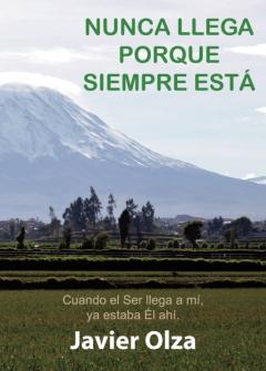 Libro, Audiolibro Nunca Llega Porque Siempre Está Nunca Llega Porque Siempre Está