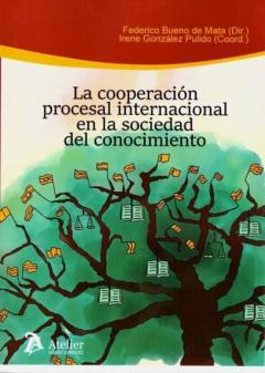 Libro, Audiolibro La Cooperacion Procesal Internacional En La Sociedad Del Conocimiento La Cooperacion Procesal Internacional En La Sociedad Del Conocimiento