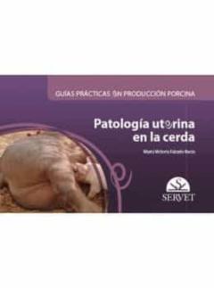 Guias Practicas En Produccion Porcina. Patologia Uterina En La Cerda