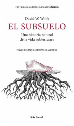 Libro, Audiolibro El Subsuelo El Subsuelo