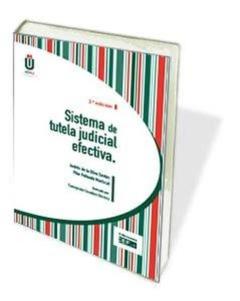 Sistema De Tutela Judicial Efectiva 2019