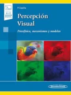 Percepcion Visual (Incluye Version Digital): Psicofisica, Mecanismos Y Modelos