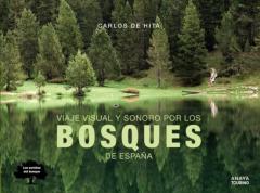 Viaje Visual Y Sonoro Por Los Bosques De España